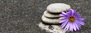 Cómo diseñar un jardín zen