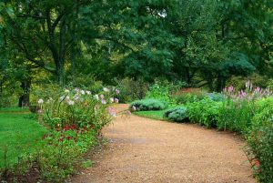 Cómo comprar piedras para jardín