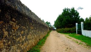 Zahorra: definición y tipos