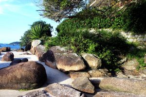 Los 4 mejores áridos para jardín
