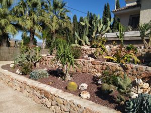 Cómo diseñar un jardín desértico