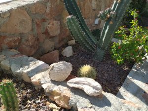 Consejos para crear un jardín zen exterior