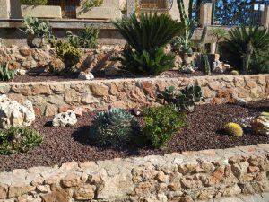 Cómo hacer un jardín seco